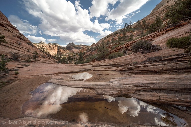 The landscape is reflected in the still waters of the potholes on the Many Pools Trail at Zion National Park, Utah