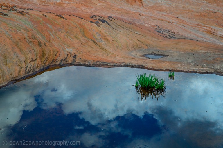 The landscape is reflected in the still waters of the potholes on the Many Pools Trail at Zion National Park, Utah