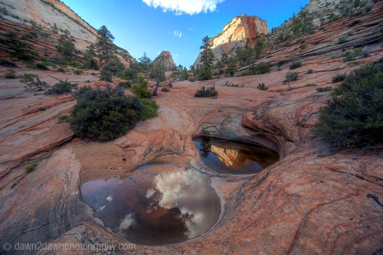 The landscape is reflected in the still waters of the potholes on the Many Pools Trail at Zion National Park, Utah