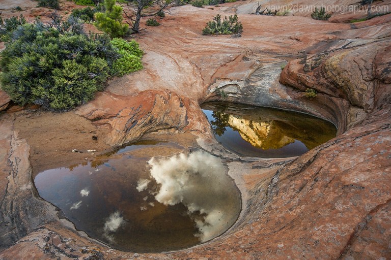 The landscape is reflected in the still waters of the potholes on the Many Pools Trail at Zion National Park, Utah