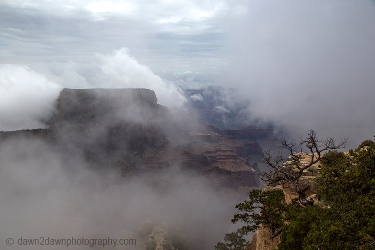 GC North Rim Cape Royal Fog_8612