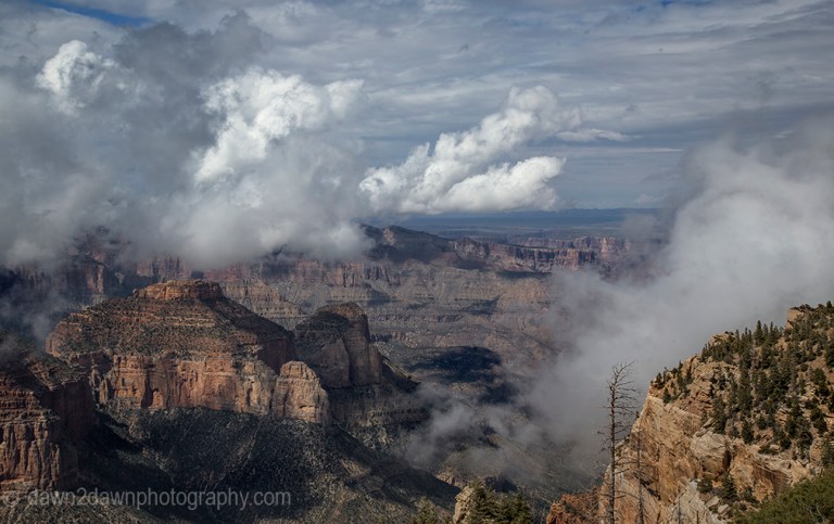 Fog rises from the depths of the Grand Canyon near Cape Royal at Grand Canyon National Park, Arizona