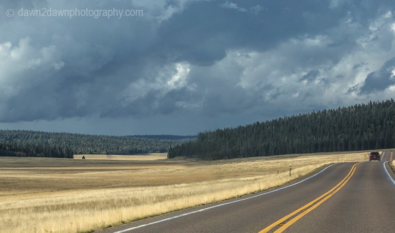 Highway 67 winds its way through open meadows and The Kaibab National Forest on its way to the North Rim of Grand Canyon National Park, Arizona