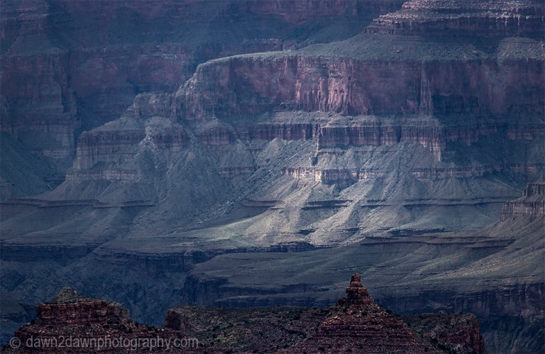 The walls of the Grand Canyon get green after recent rains