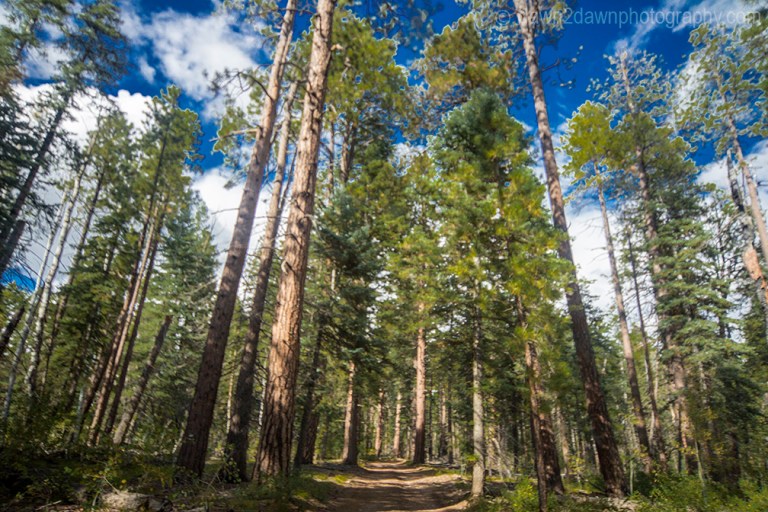 GC Pt Sublime Road_0814