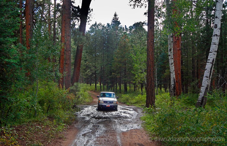 GC Pt Sublime Road_7094