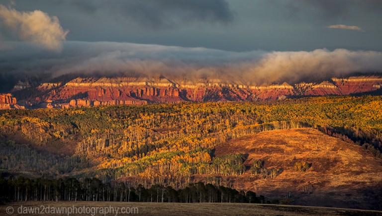 Fall colors extend to Cedar Breaks National Monument in Southern Utah