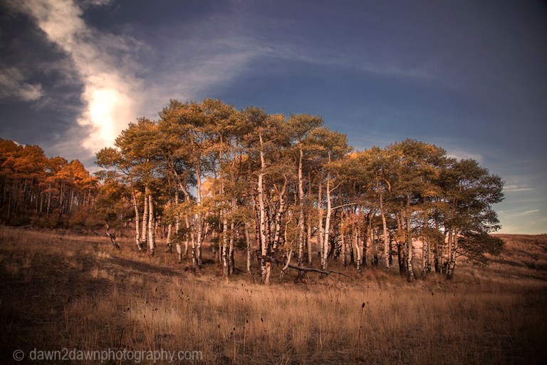 Fall colors have arrived at Kolob Terrace near Zion National Park, Utah