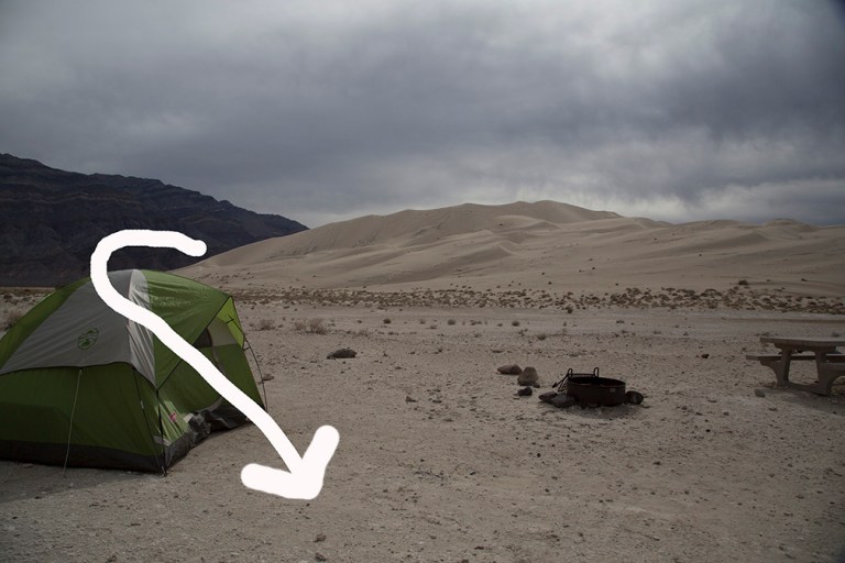 This is the path it took as it came towards me.