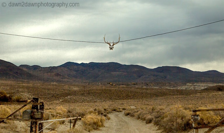 Owens Valley Ranch_2313