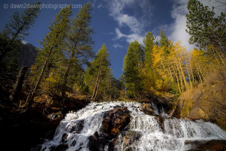 Fall colors have arrived in the Sierra Nevada Mountains along Lee Vining Creek, California