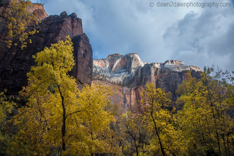 Fall colors have arrived at Zion Canyon at Zion National Park, Utah