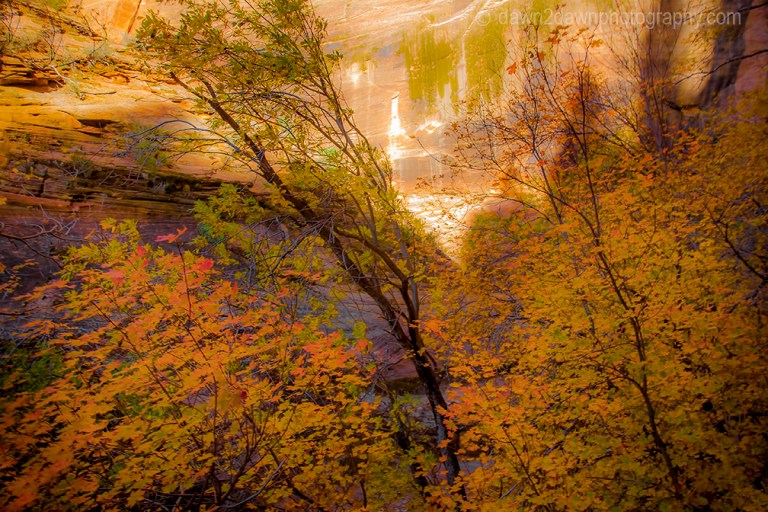 Fall colors have arrived at Echo Canyon at Zion National Park, Utah