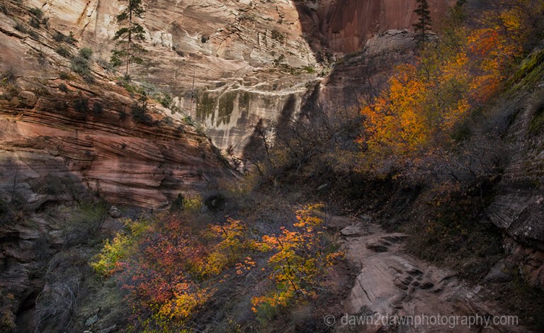 Fall colors have arrived at Echo Canyon at Zion National Park, Utah