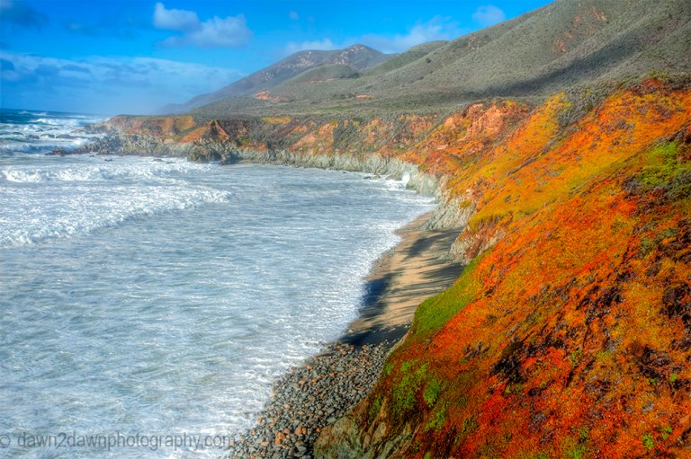 Cal Coast Ice Plant_9316