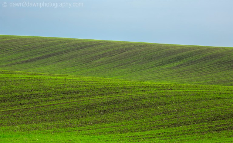 Farmland in rural California.