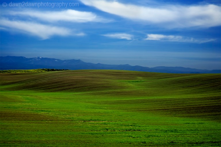 Farmland in rural California.