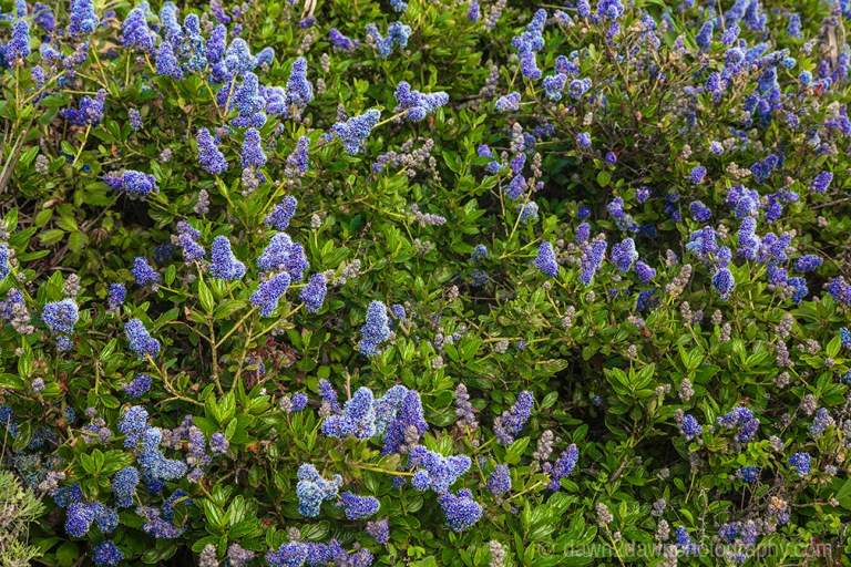 Bright colors come alive during sunset at Goblin Valley State Park, Utah