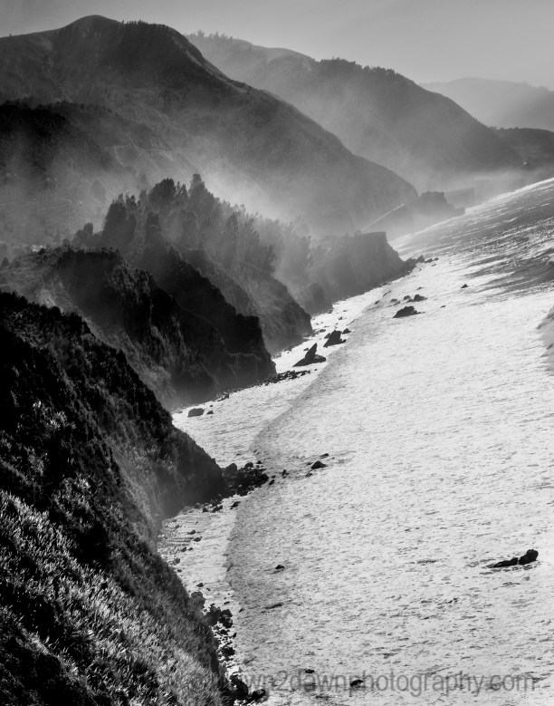 Cal Coast Fog BW_8422