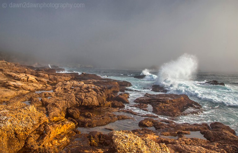 The rocky coastline at Point Lobos State Natural Reserve in Carmel, California