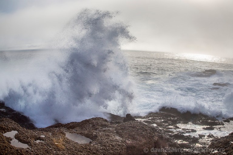The rocky coastline at Point Lobos State Natural Reserve in Carmel, California