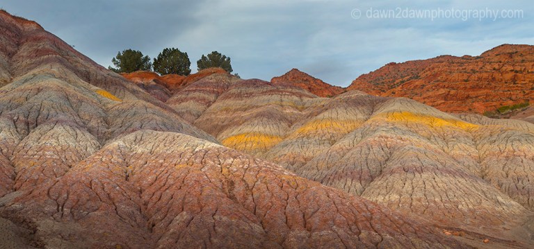 The colorful sedimentary layer of clay is uncovered at Vermillion Cliffs National Monument, Arizona