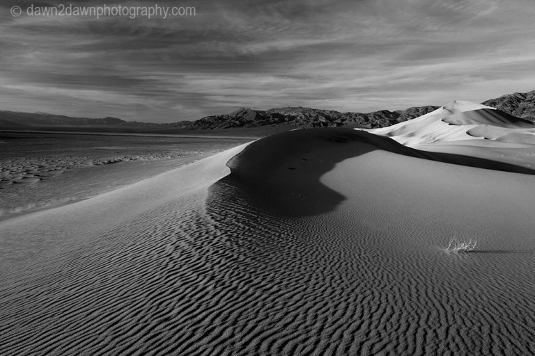 Patterns and ripples produced by erosion are the dominant features of Eureka Dunes at Death Valley National Park, California