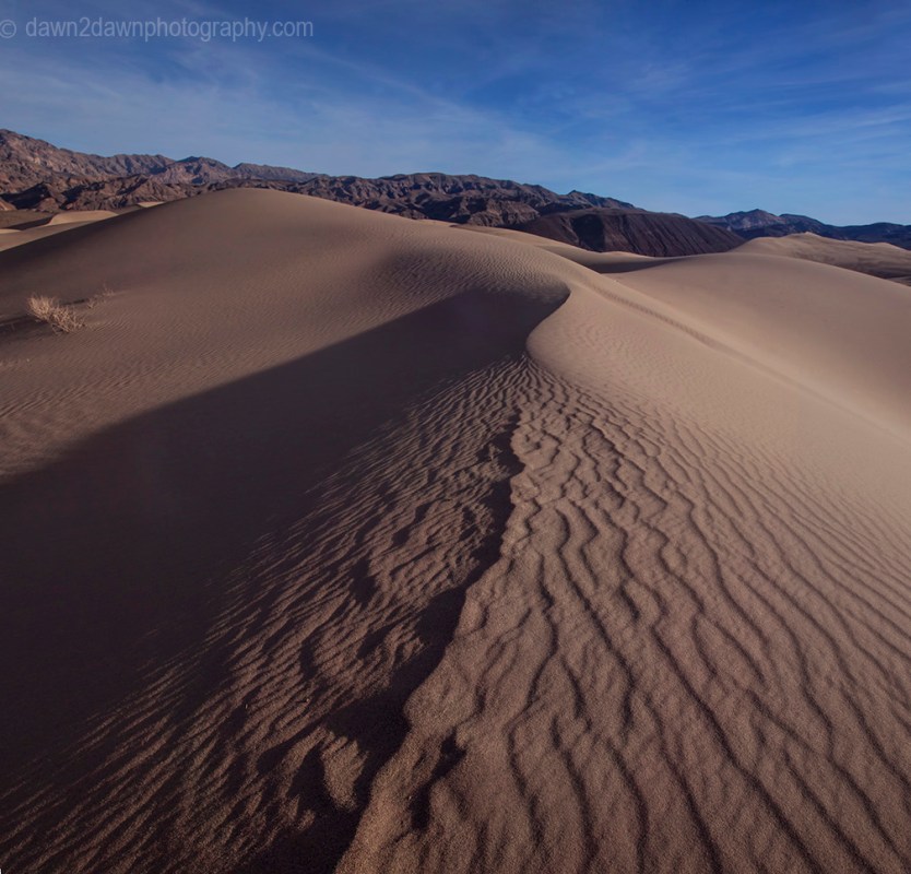 Patterns and ripples produced by erosion are the dominant features of Eureka Dunes at Death Valley National Park, California