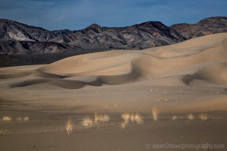 Patterns and ripples produced by erosion are the dominant features of Eureka Dunes at Death Valley National Park, California