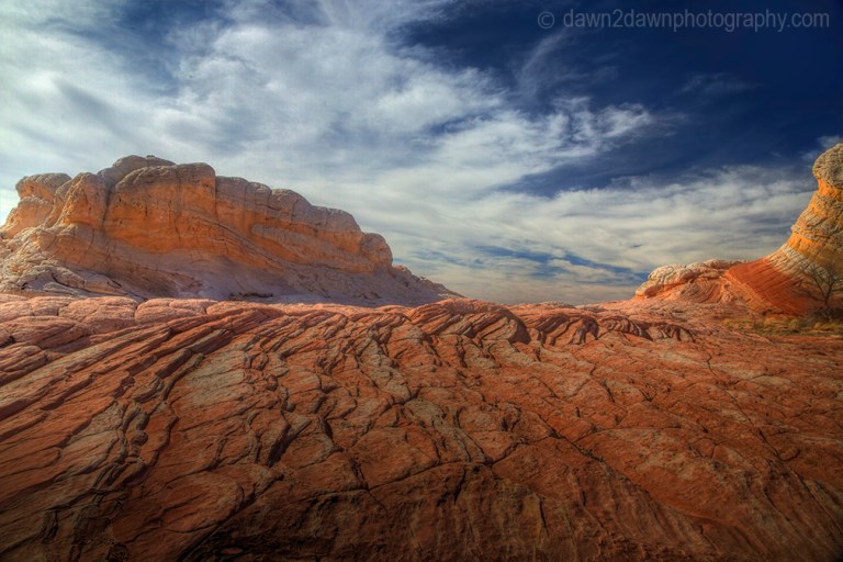 Unusual sandstone shapes produced by erosion make up the landscape at White Pocket at Vermilion Cliffs National Monument, Arizona