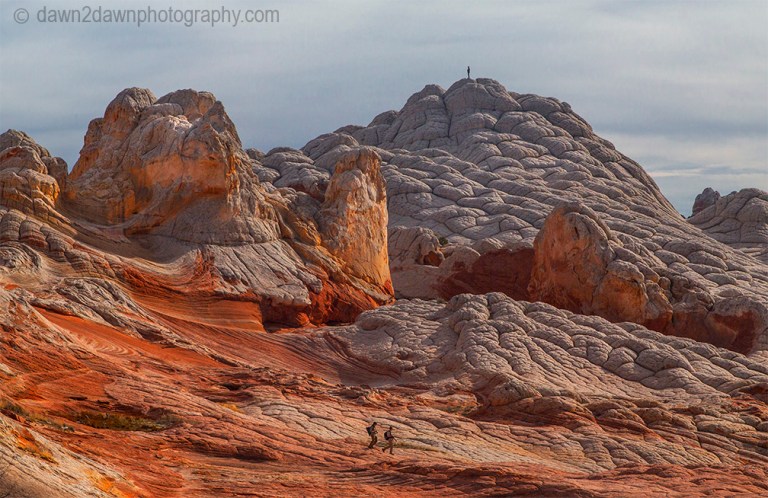 Unusual sandstone shapes produced by erosion make up the landscape at White Pocket at Vermilion Cliffs National Monument, Arizona