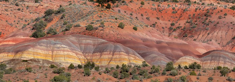 The colorful clay beds are exposed at Coyote Buttes at Vermilion Cliffs National Monument, Arizona