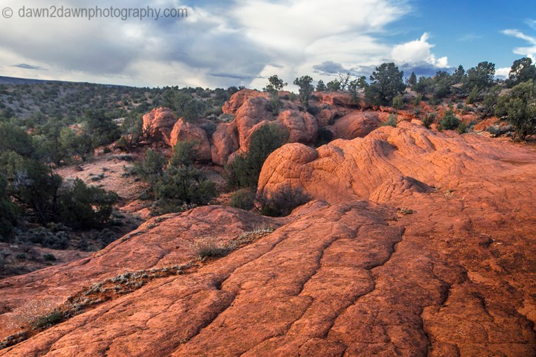 Unusual sandstone rock formations make up the landscape at South Coyote Buttes at The Vermilion Cliffs National Monument, Arizona