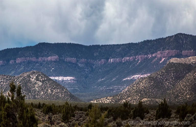 Kaibab Camping Spot_0519