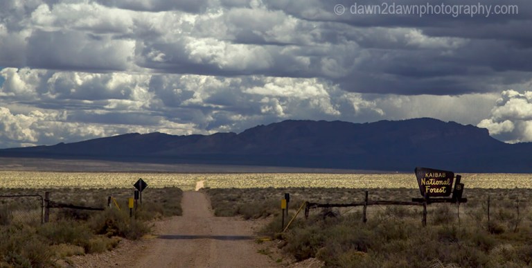 A backcountry road leads you through the Kaibab National Forest to Marble Canyon at Grand Canyon National Park, Arizona