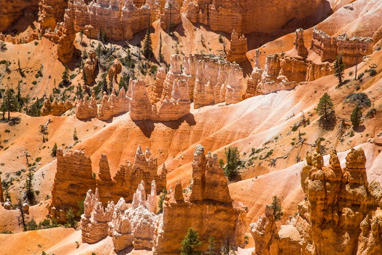 Bryce Canyon_0724