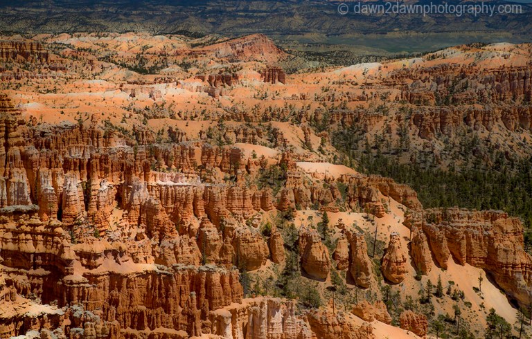 The hoodoos are the predominate feature at Bryce Canyon National Park, Utah