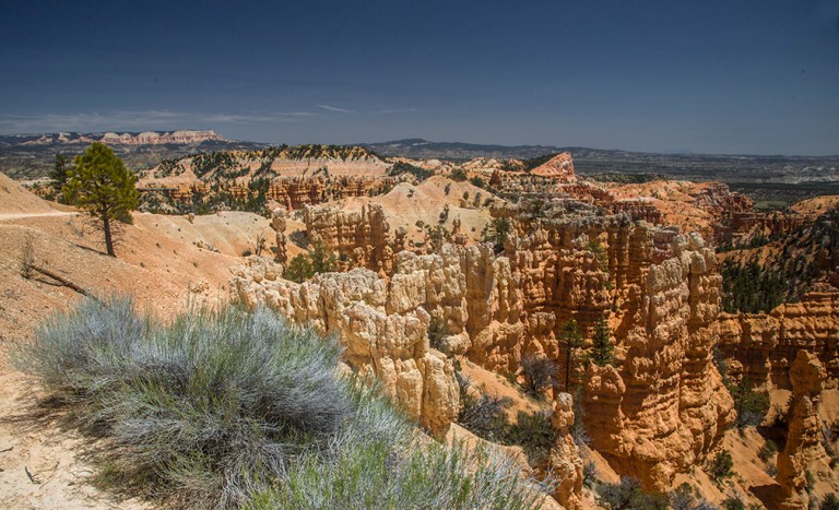 Bryce Canyon_0768