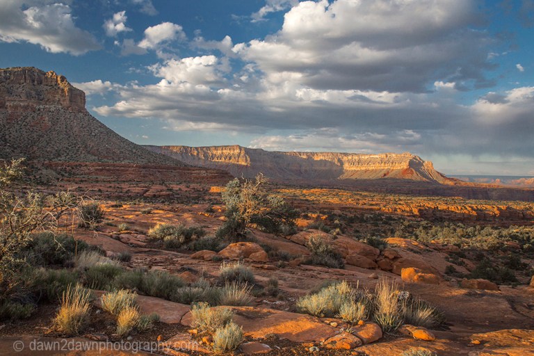Arizona's Grand Canyon at Toroweap at Grand Canyon National Park