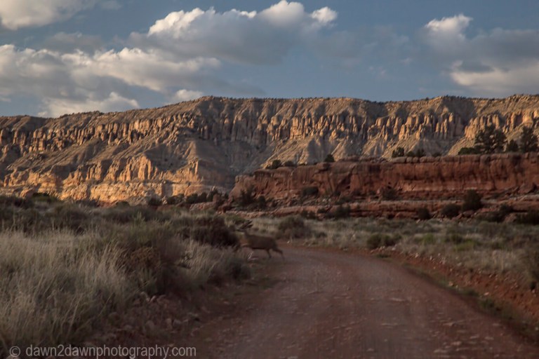 On the road to Arizona's Grand Canyon at Toroweap at Grand Canyon National Park