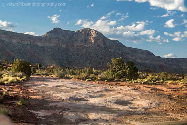 On the road to Arizona's Grand Canyon at Toroweap at Grand Canyon National Park
