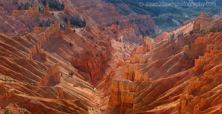 Erosion and time have shaped the sandstone landscape at Cedar Breaks National Monument in Southern Utah, USA