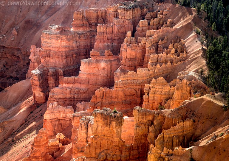 Erosion and time have shaped the sandstone landscape at Cedar Breaks National Monument in Southern Utah, USA