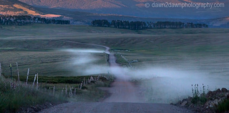 A passing vehicle has produced clouds of dust during a hot summer on a Kolob Terrace country road in Southern Utah.