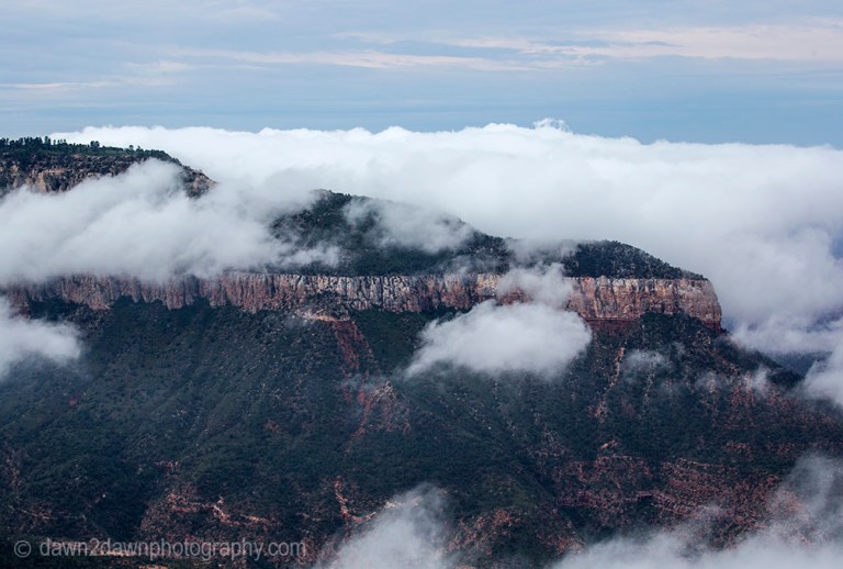 Fog rises from the bottom of the Grand Canyon at Timp Point,, Kaibab National Forest, Arizona
