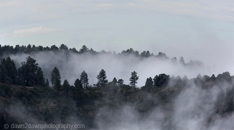 Fog rises from the bottom of the Grand Canyon at Timp Point,, Kaibab National Forest, Arizona