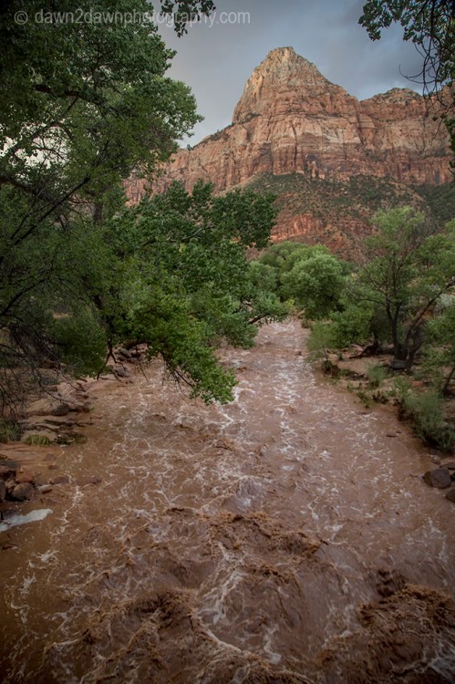 Monsoonal thunderstorms and rain swell the Virgin River at Zion National park, Utah