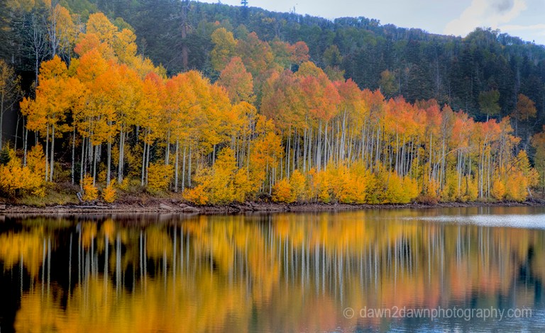 Fall colors from Aspen trees are reflected in the still waters of Kolob Reservoir near Zion National Park, Utah