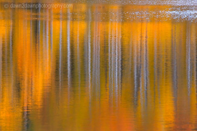 Fall colors from Aspen trees are reflected in the still waters of Kolob Reservoir near Zion National Park, Utah