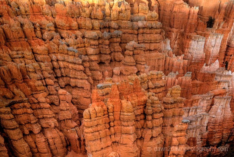 Bryce Canyon National Park at sunset.